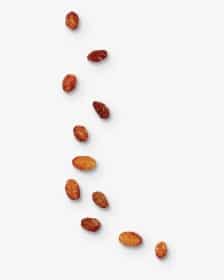 Raisin by tida saffron