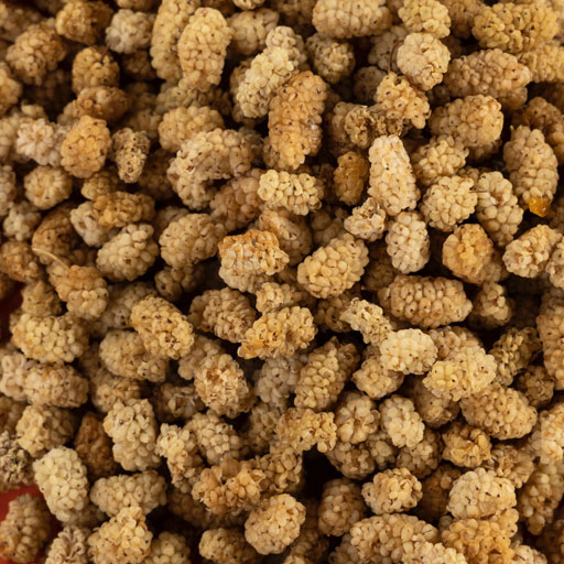 Dried Mulberries