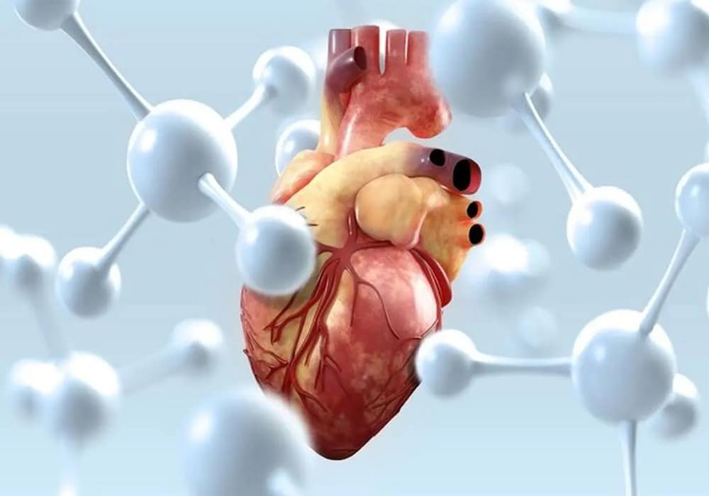 Las pasas y su impacto en la salud de las mujeres y la prevención de enfermedades