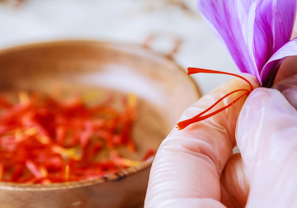 فواید دارویی زعفران در کاهش افسردگی و علائم قاعدگی