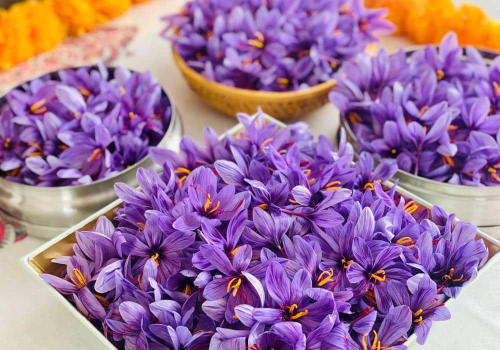 بهترین نوع زعفران