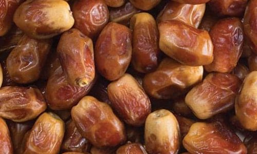 Zahedi-date