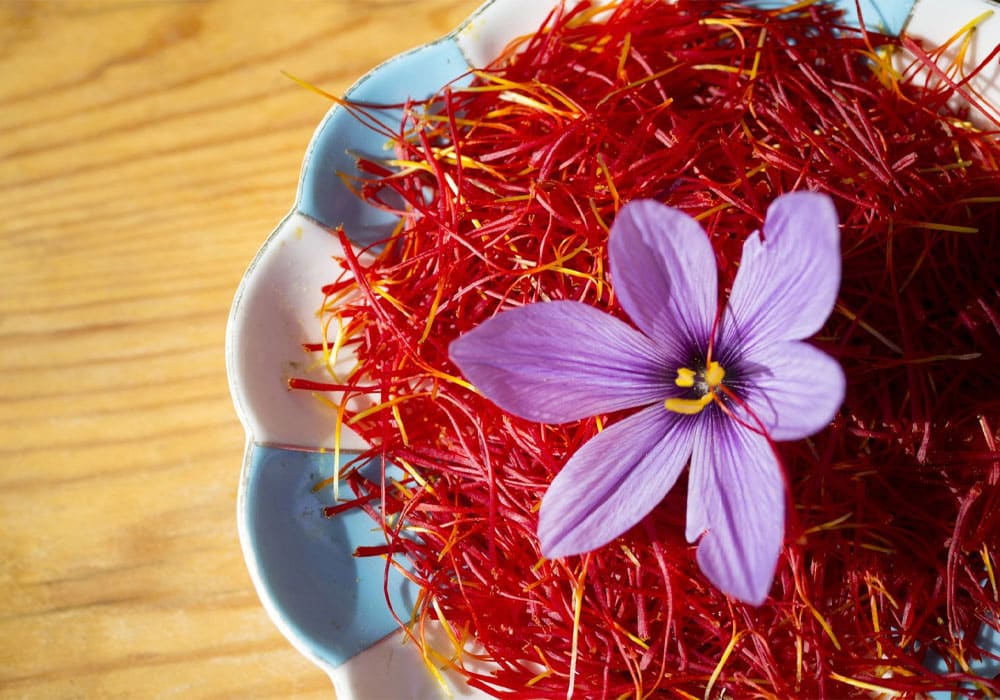 Distinguishing real saffron from fake