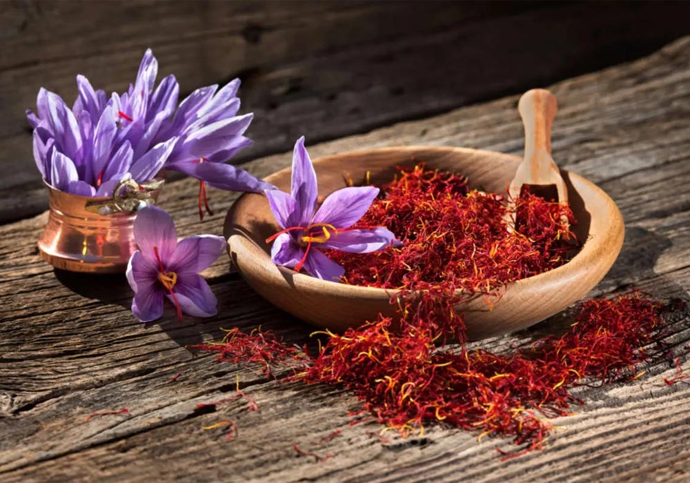 Therapeutic properties of saffron in traditional medicine