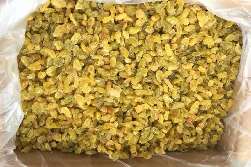 Green Raisins and Their Role in Strengthening the Immune System