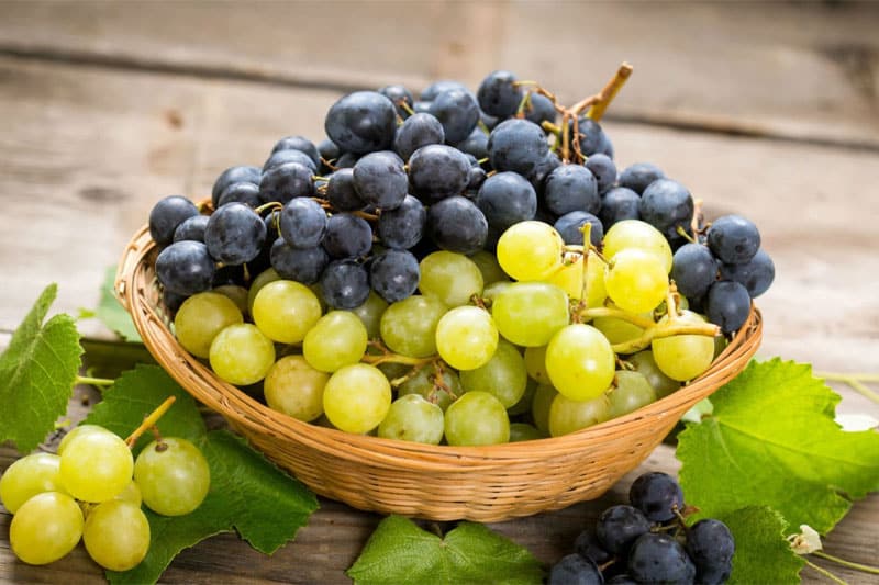 Green Raisins and Their Role in Strengthening the Immune System