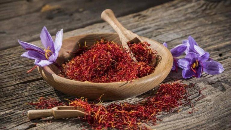 Purple saffron flowers and premium Iranian saffron threads on a wooden background