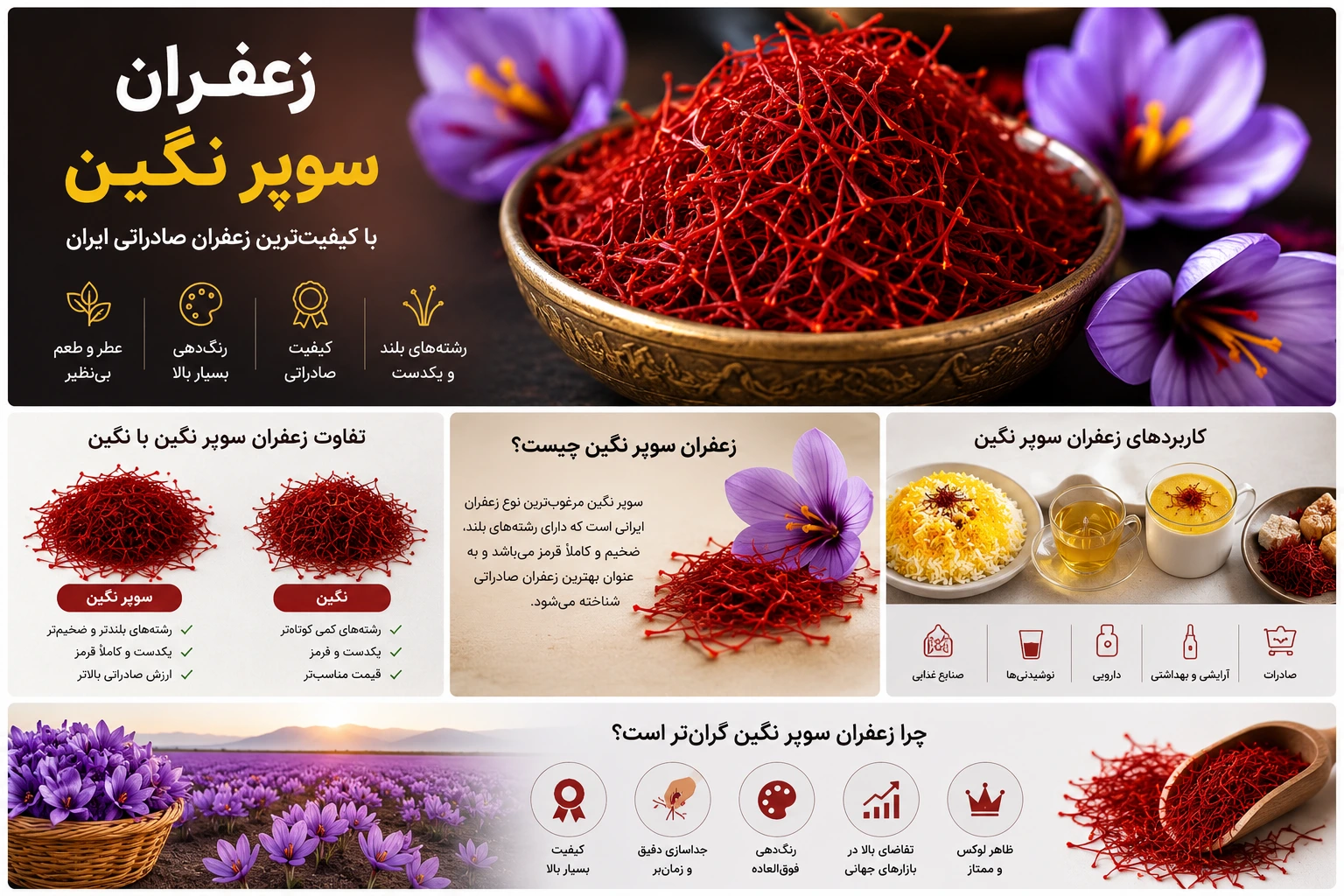 اینفوگرافیک زعفران سوپر نگین شامل ویژگی‌ها، تفاوت با زعفران نگین و کاربردهای زعفران صادراتی ایران