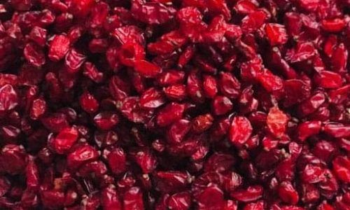 Barberry