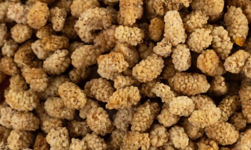 Dried Mulberries