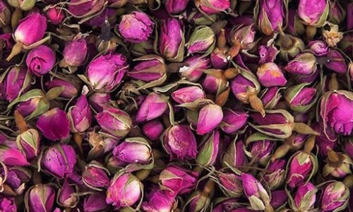 Dried-rose-bud