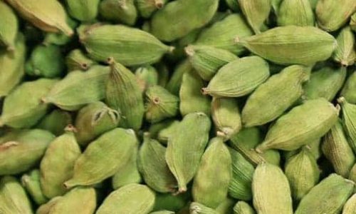 cardamom