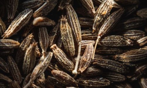 cumin