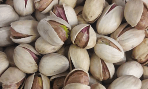 fandoghi pistachios